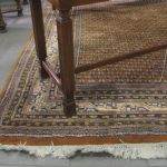 562 3224 ORIENTAL CARPET